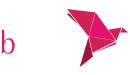 bKash logo